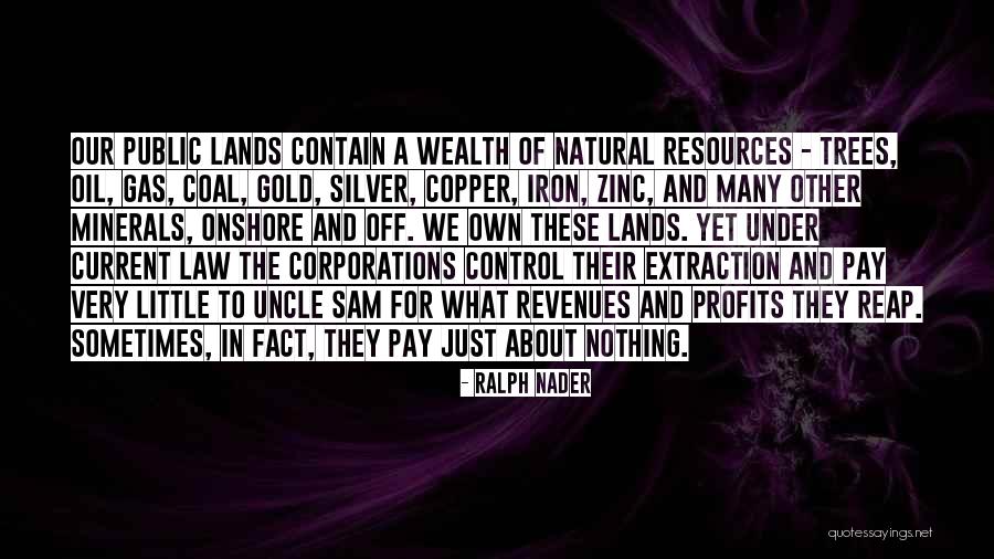 Gas Law Quotes By Ralph Nader Gas Law Quotes By Ralph Nader