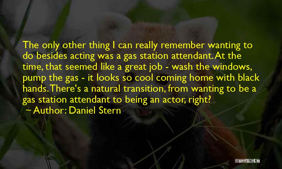 Gas Station Quotes By Daniel Stern
