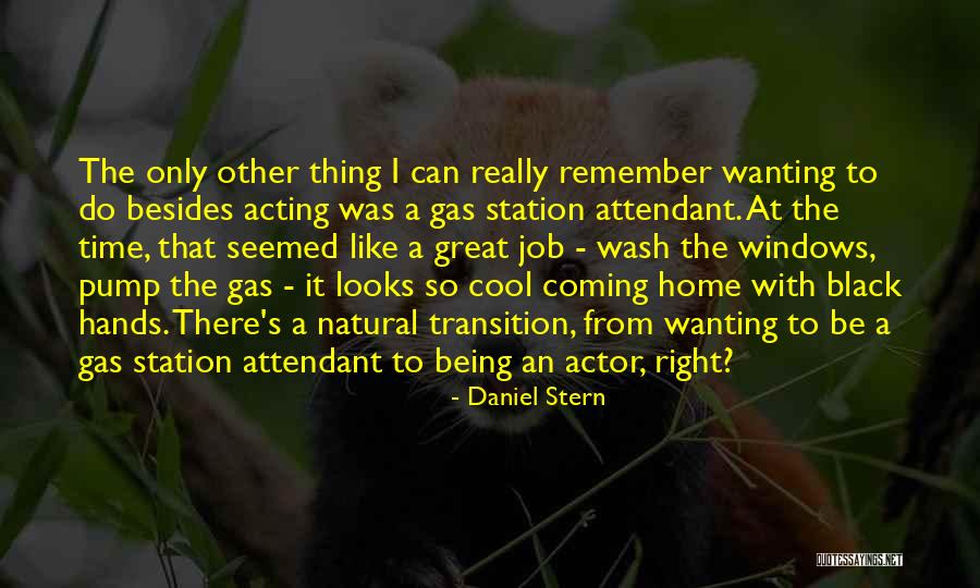 Gas Station Quotes By Daniel Stern