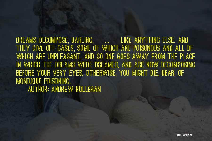 Gases Quotes By Andrew Holleran