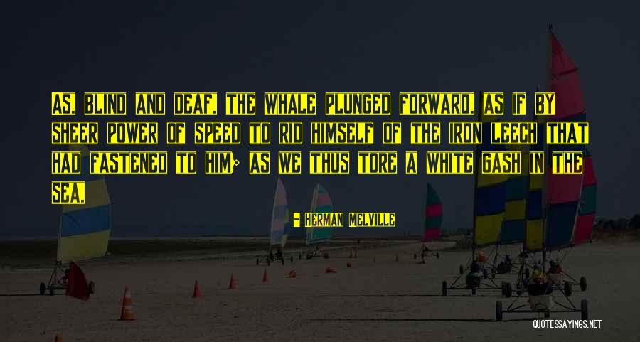 Gash Quotes By Herman Melville