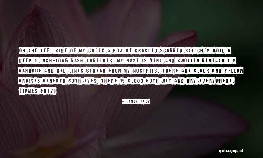Gash Quotes By James Frey