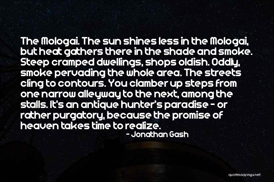 Gash Quotes By Jonathan Gash