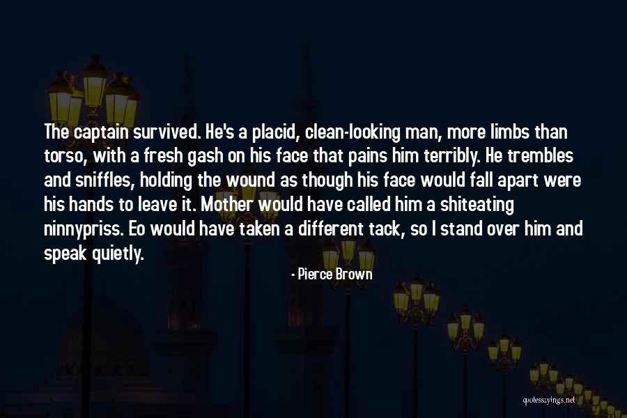 Gash Quotes By Pierce Brown