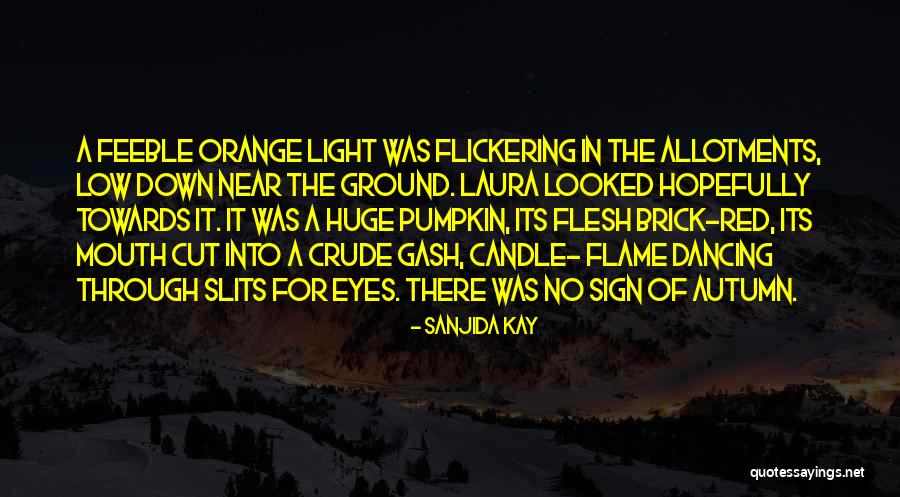 Gash Quotes By Sanjida Kay