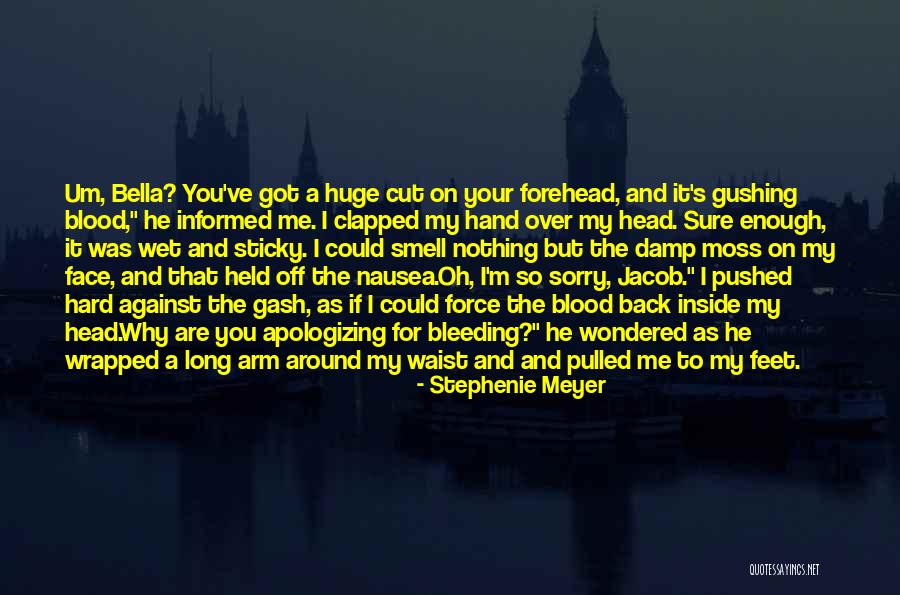 Gash Quotes By Stephenie Meyer