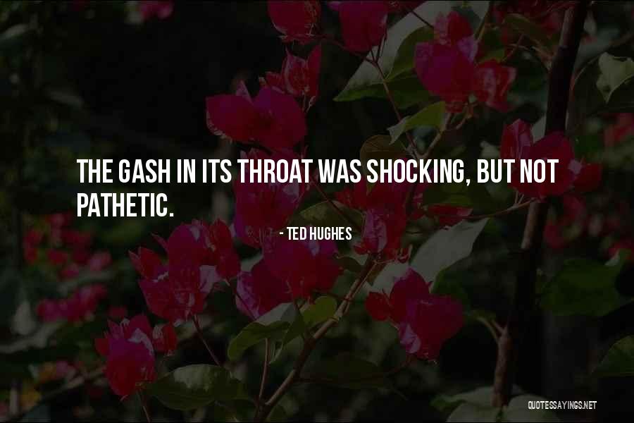 Gash Quotes By Ted Hughes