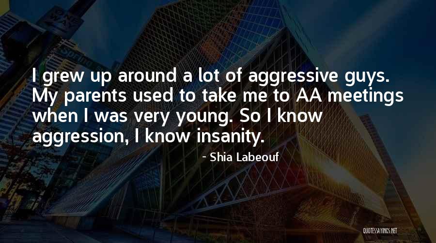 Gasperini Quotes By Shia Labeouf Gasperini Quotes By Shia Labeouf