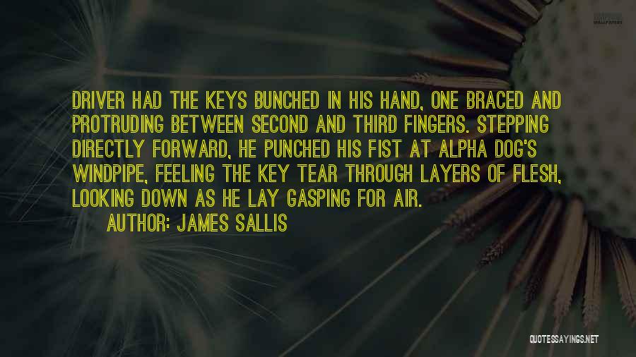Gasping For Air Quotes By James Sallis