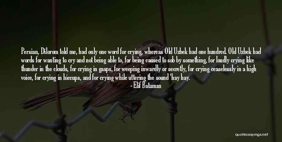 Gasps Quotes By Elif Batuman Gasps Quotes By Elif Batuman