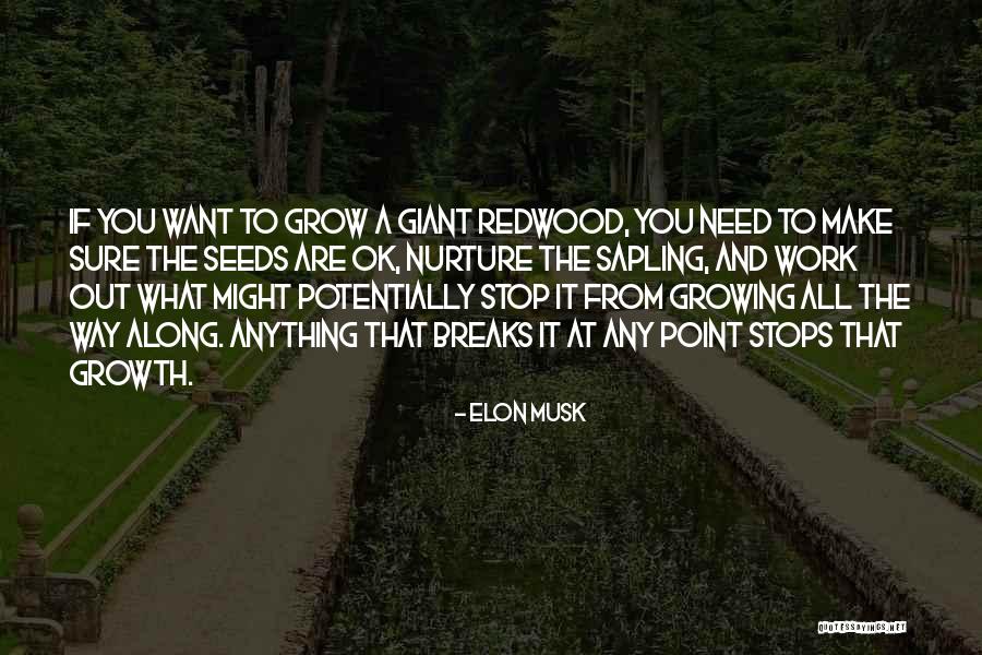 Gassert Daniel Quotes By Elon Musk Gassert Daniel Quotes By Elon Musk