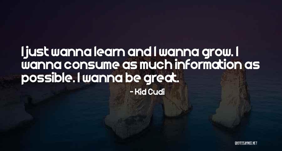 Gassmann Immobilien Quotes By Kid Cudi Gassmann Immobilien Quotes By Kid Cudi
