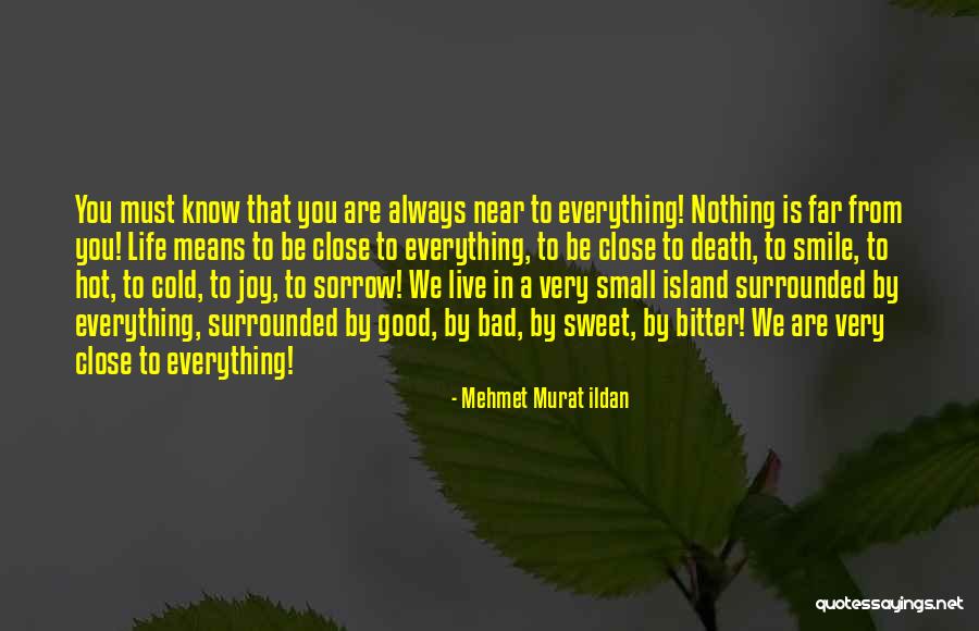 Gastaut Beauty Quotes By Mehmet Murat Ildan Gastaut Beauty Quotes By Mehmet Murat Ildan