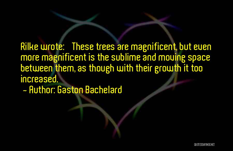 Gaston Bachelard Quotes 392949