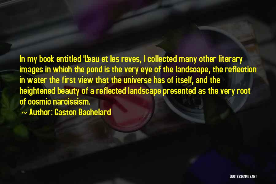 Gaston Bachelard Quotes 413897