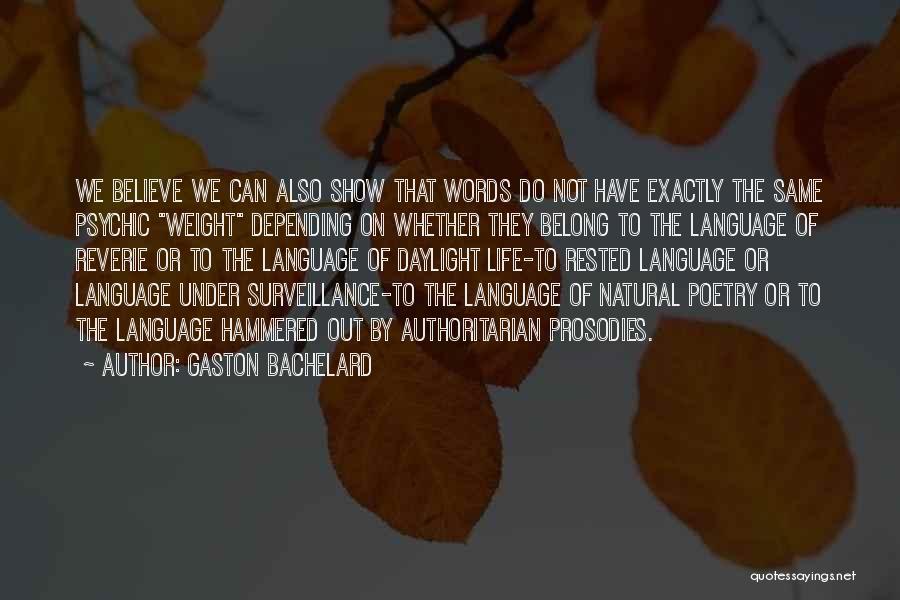 Gaston Bachelard Quotes 825262