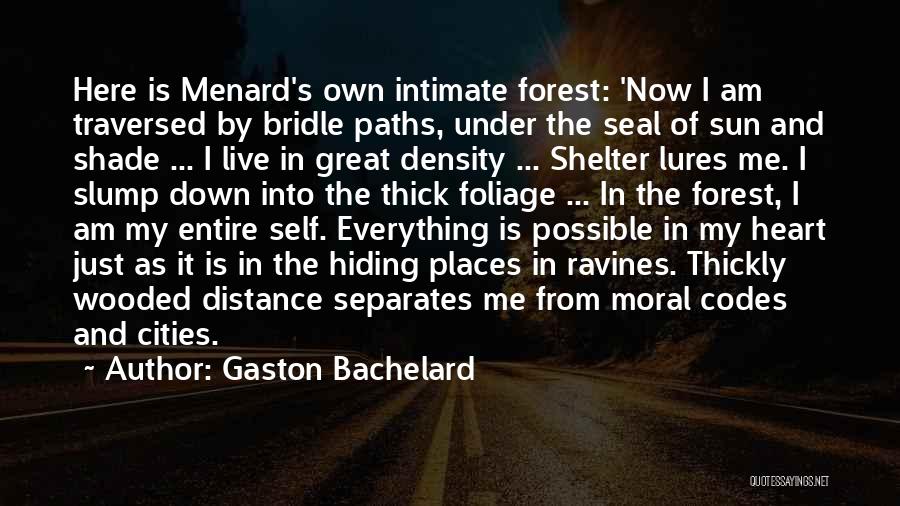 Gaston Bachelard Quotes 82592