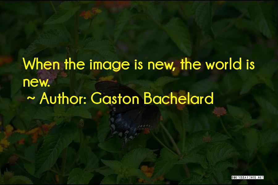 Gaston Bachelard Quotes 889033