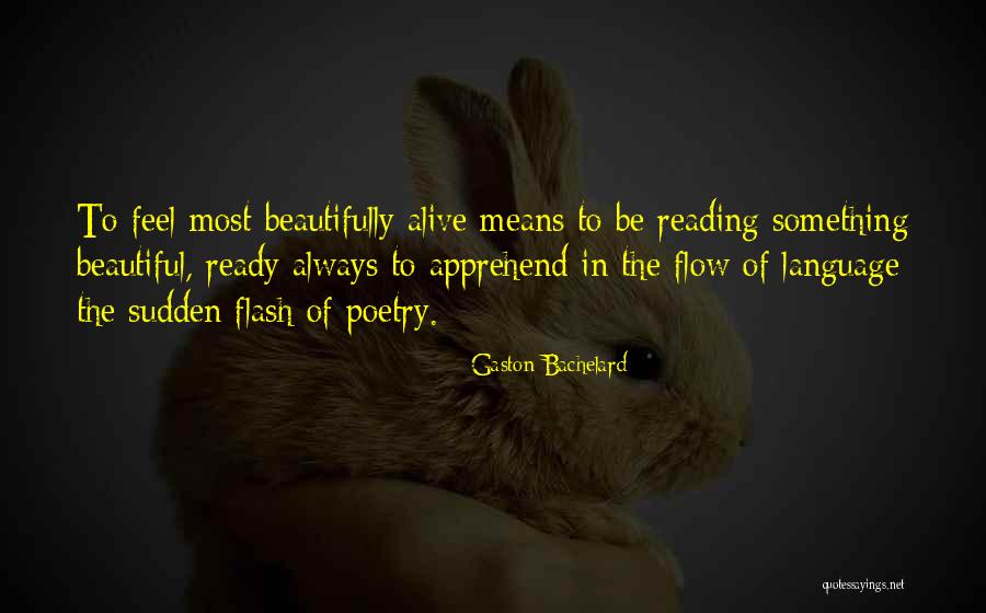 Gaston Means Quotes By Gaston Bachelard