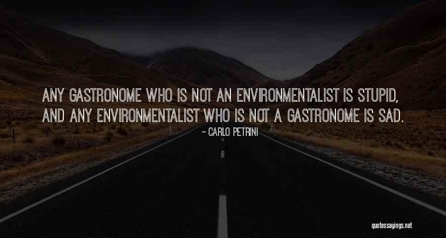 Gastronome Quotes By Carlo Petrini Gastronome Quotes By Carlo Petrini