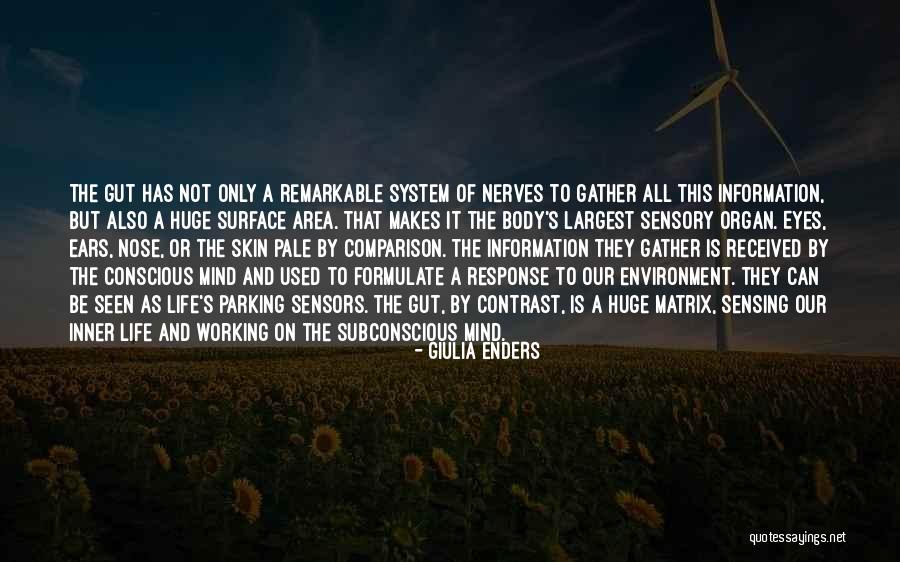 Gather Information Quotes By Giulia Enders Gather Information Quotes By Giulia Enders