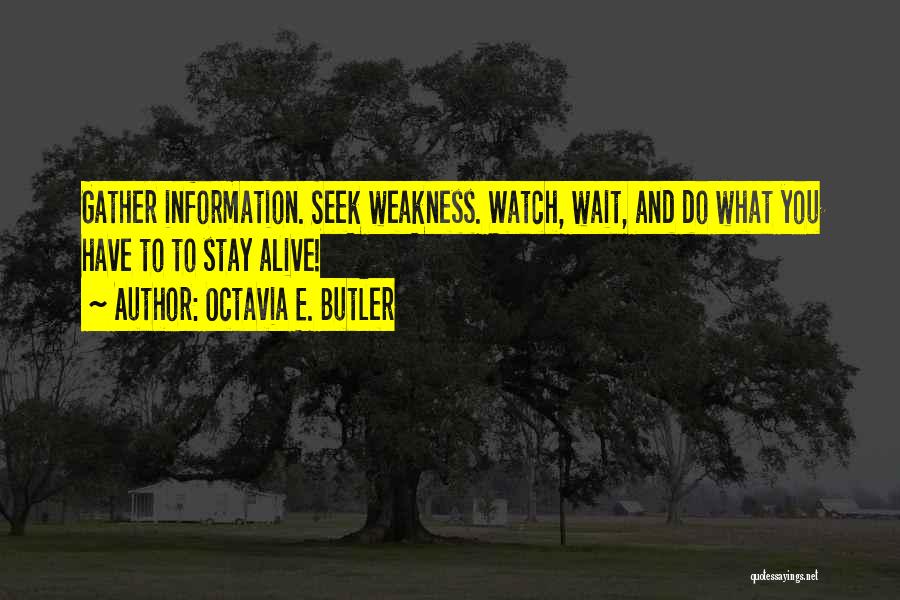 Gather Information Quotes By Octavia E. Butler