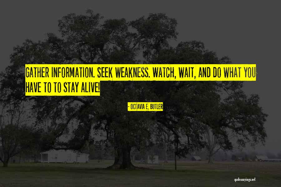 Gather Information Quotes By Octavia E. Butler Gather Information Quotes By Octavia E. Butler