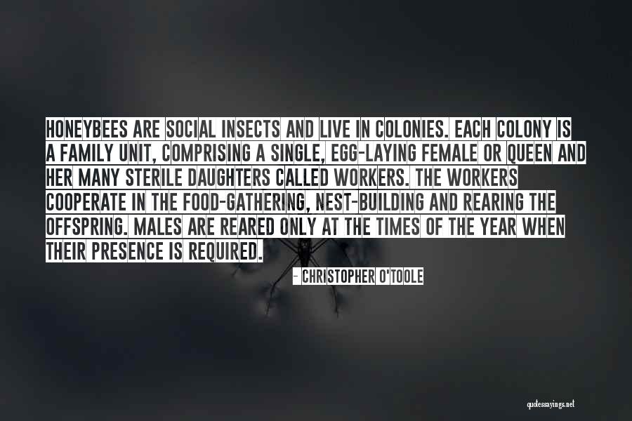 Gathering With Family Quotes By Christopher O'Toole Gathering With Family Quotes By Christopher O'Toole
