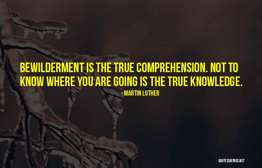 Gatitas Quotes By Martin Luther Gatitas Quotes By Martin Luther