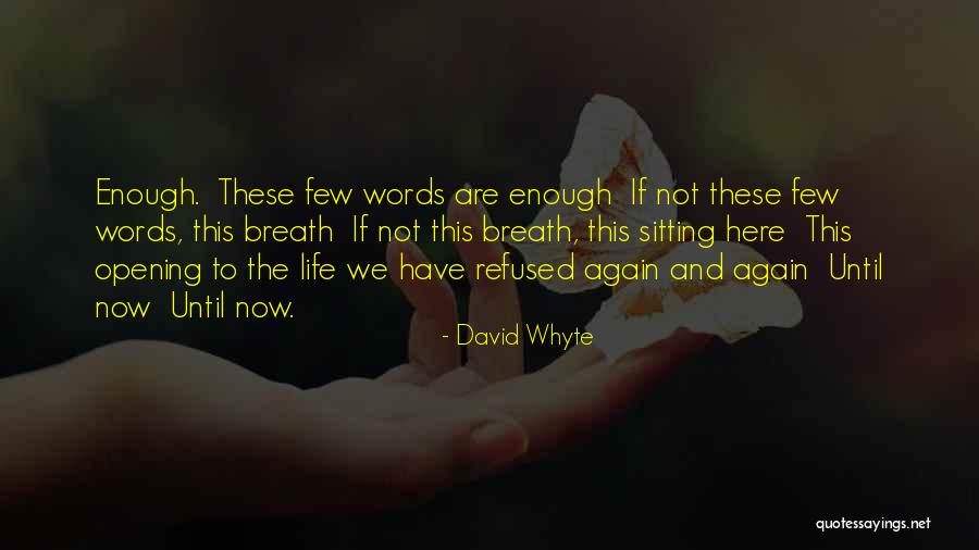 Gatsby Chasing Daisy Quotes By David Whyte Gatsby Chasing Daisy Quotes By David Whyte