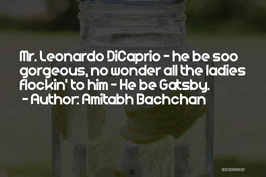 Gatsby's Past Quotes By Amitabh Bachchan