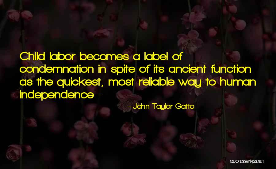 Gatto Quotes By John Taylor Gatto Gatto Quotes By John Taylor Gatto