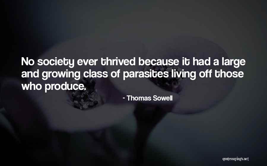 Gaunaurd Espresso Quotes By Thomas Sowell Gaunaurd Espresso Quotes By Thomas Sowell