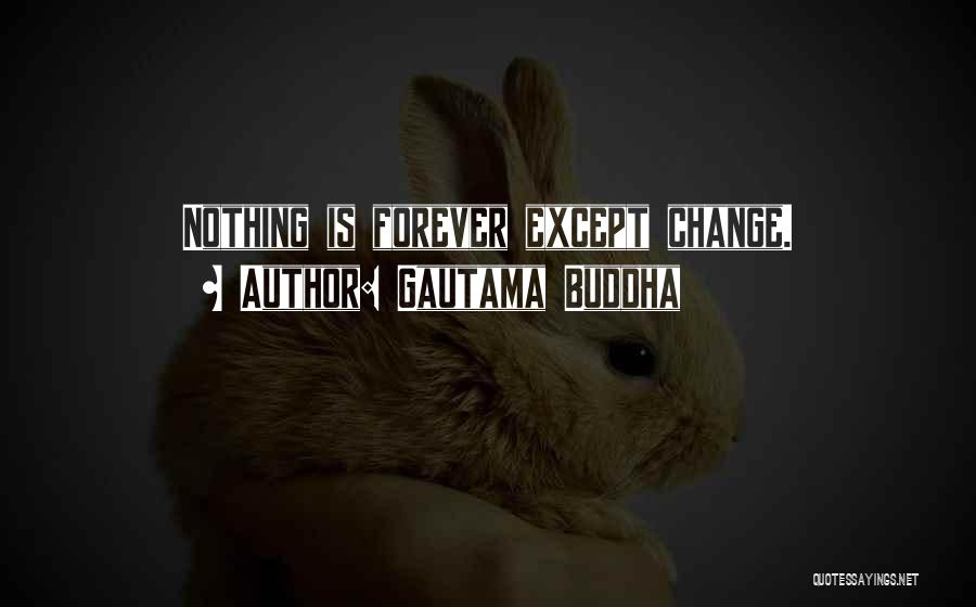 Gautama Buddha Quotes 1428756