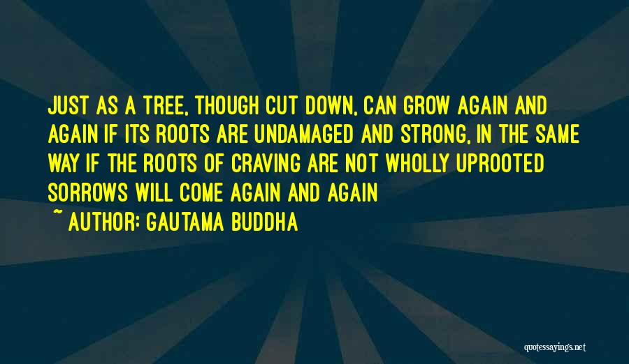 Gautama Buddha Quotes 2051635
