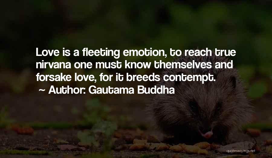 Gautama Buddha Quotes 351724