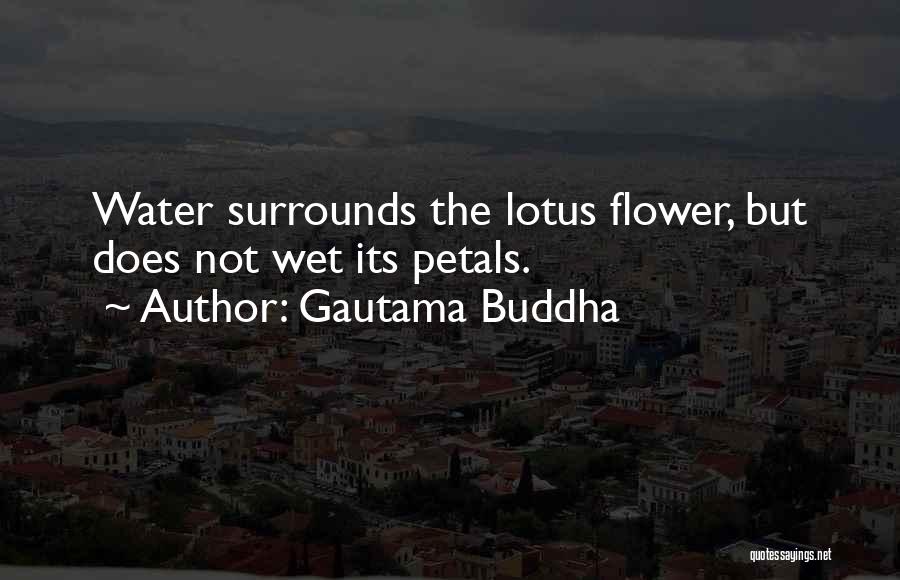 Gautama Buddha Quotes 573536