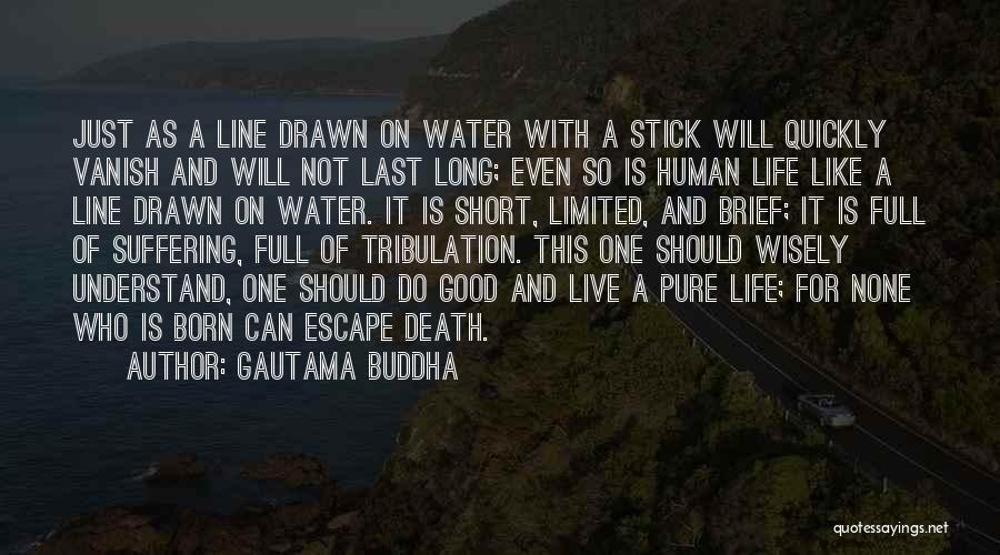 Gautama Buddha Quotes 840692
