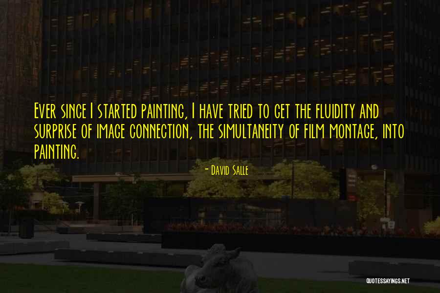 Gavarnie Quotes By David Salle Gavarnie Quotes By David Salle