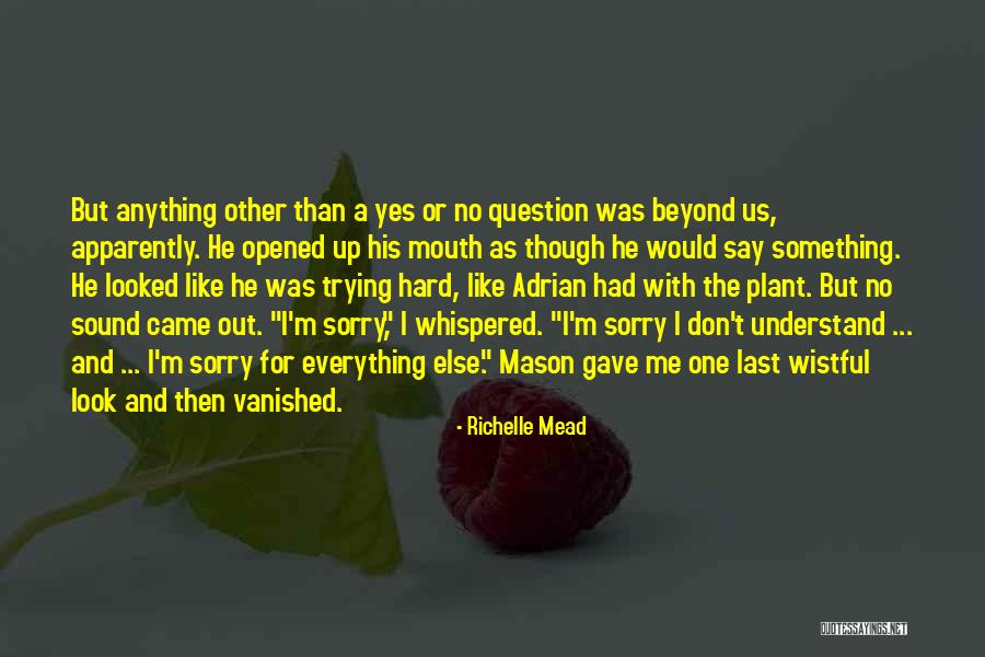 Gave Up Everything Quotes By Richelle Mead