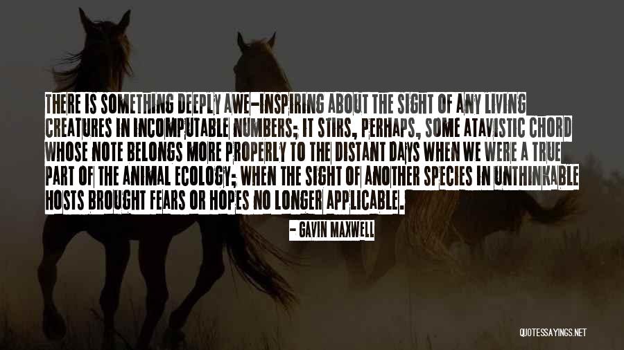 Gavin Maxwell Quotes 158043 Gavin Maxwell Quotes 158043