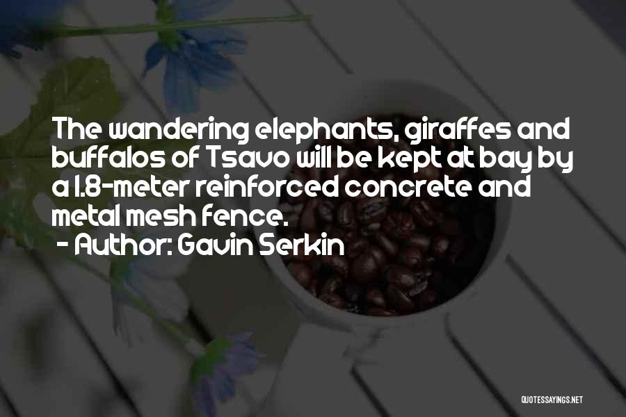 Gavin Serkin Quotes 1233457