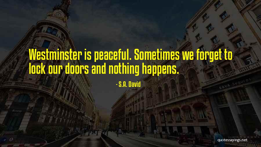 Gavinies Quotes By S.A. David Gavinies Quotes By S.A. David