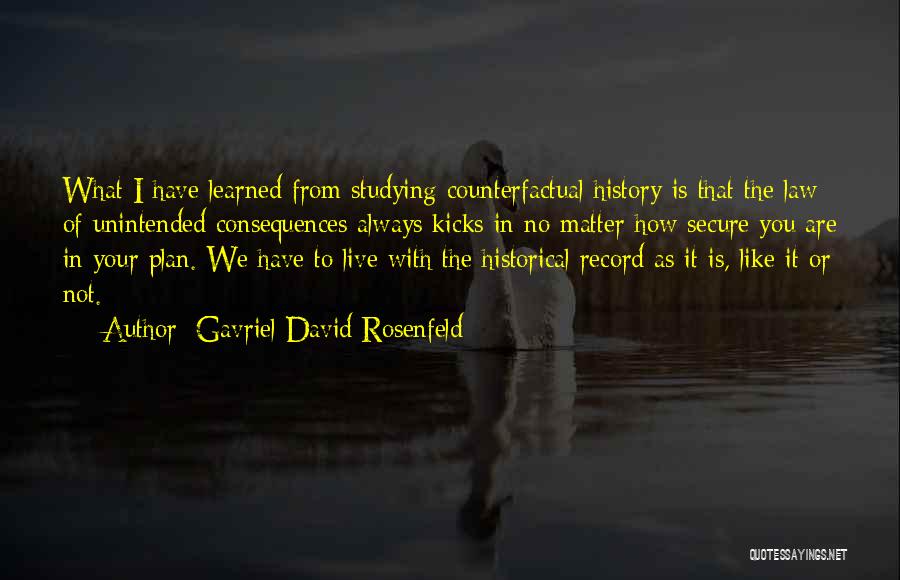 Gavriel David Rosenfeld Quotes 732663