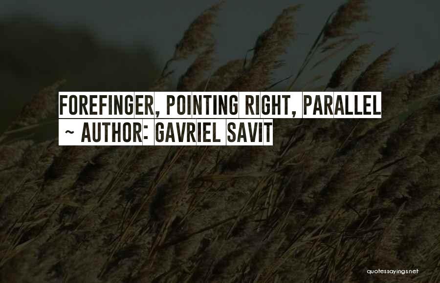 Gavriel Savit Quotes 115727