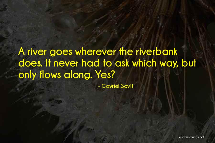 Gavriel Savit Quotes 580988