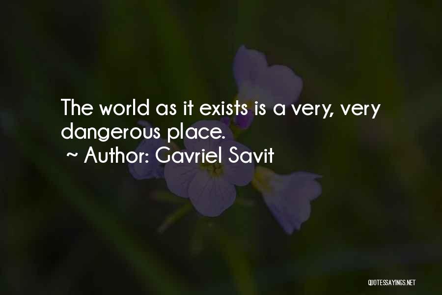 Gavriel Savit Quotes 609955