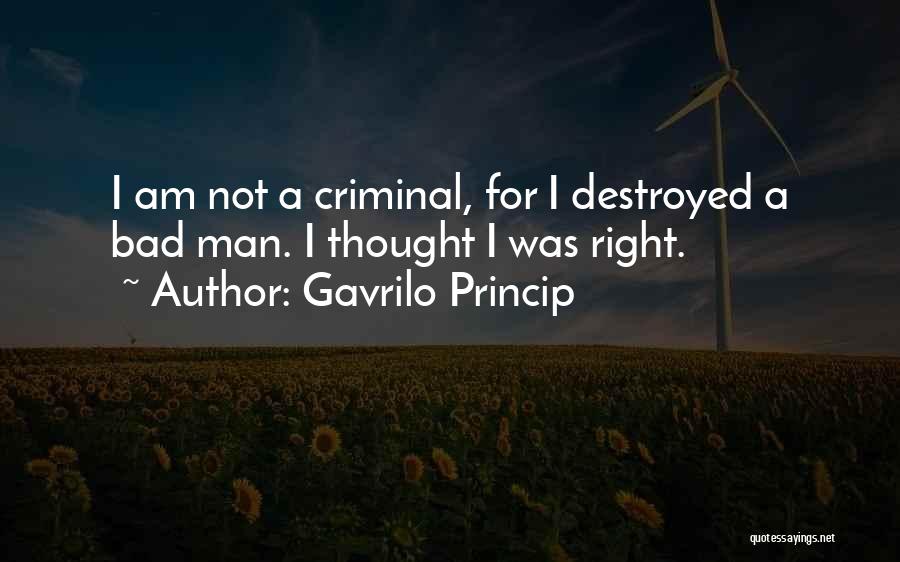 Gavrilo Princip Quotes 1525328