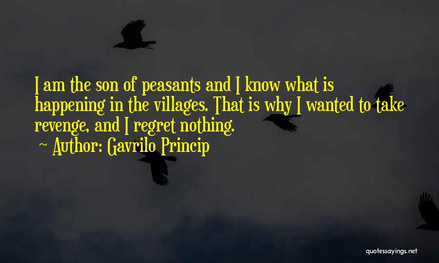 Gavrilo Princip Quotes 273871