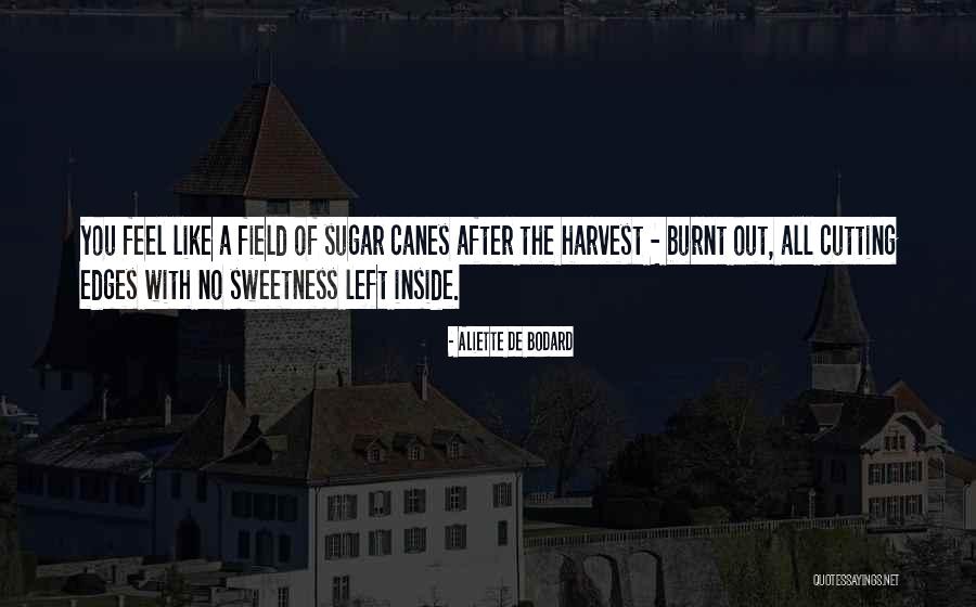 Gawin Langit Quotes By Aliette De Bodard Gawin Langit Quotes By Aliette De Bodard